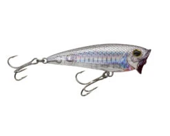 Yo-Zuri 3D Inshore Popper
