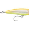 Rapala X-Rap Saltwater SubWalk