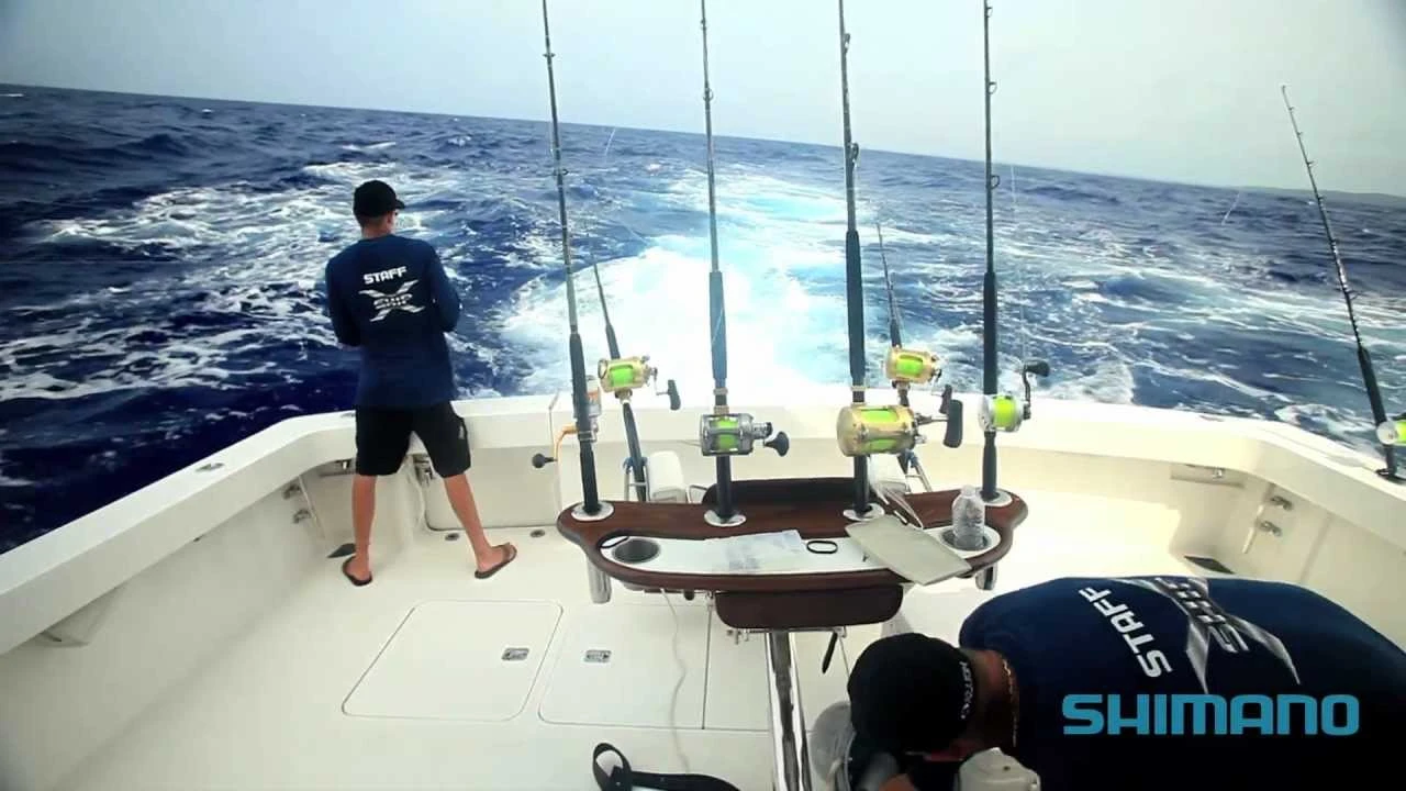 Shimano Talica 20 BFC Lever Drag Reel - Image 2