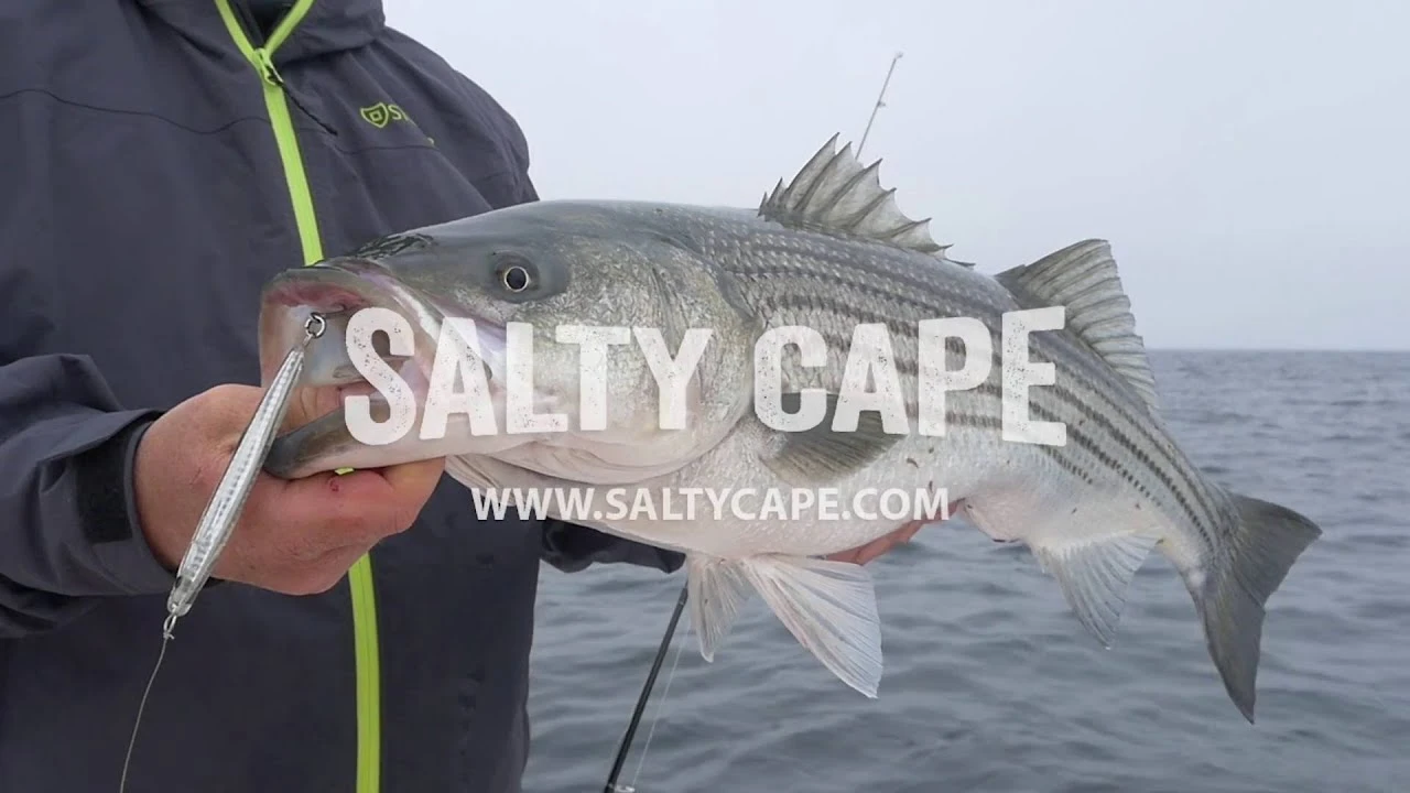 Hogy SI Epoxy Jigs - Image 2