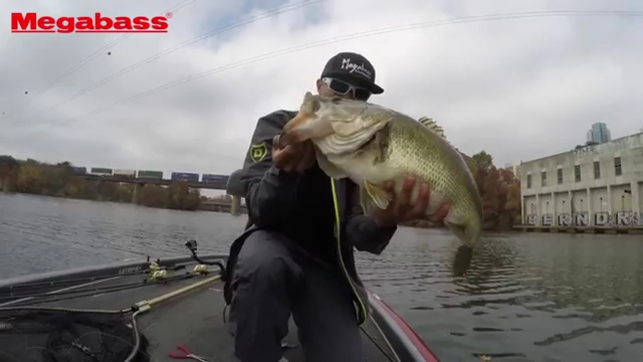 Megabass I-Slide 262T Swimbait - Image 2