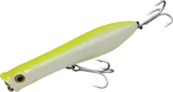 Tsunami Talkin Popper