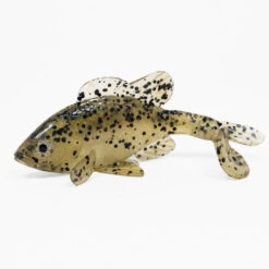 Little Creeper All American Sun Fish