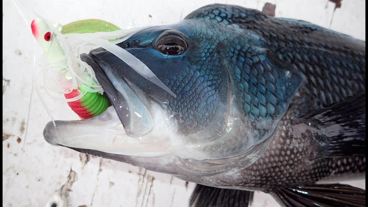 Berkley Gulp! Grubs - Image 2