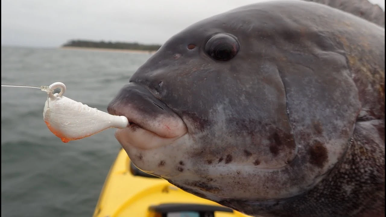 S&S Bucktails John Skinner Porgy & Blackfish Jigs - Image 3