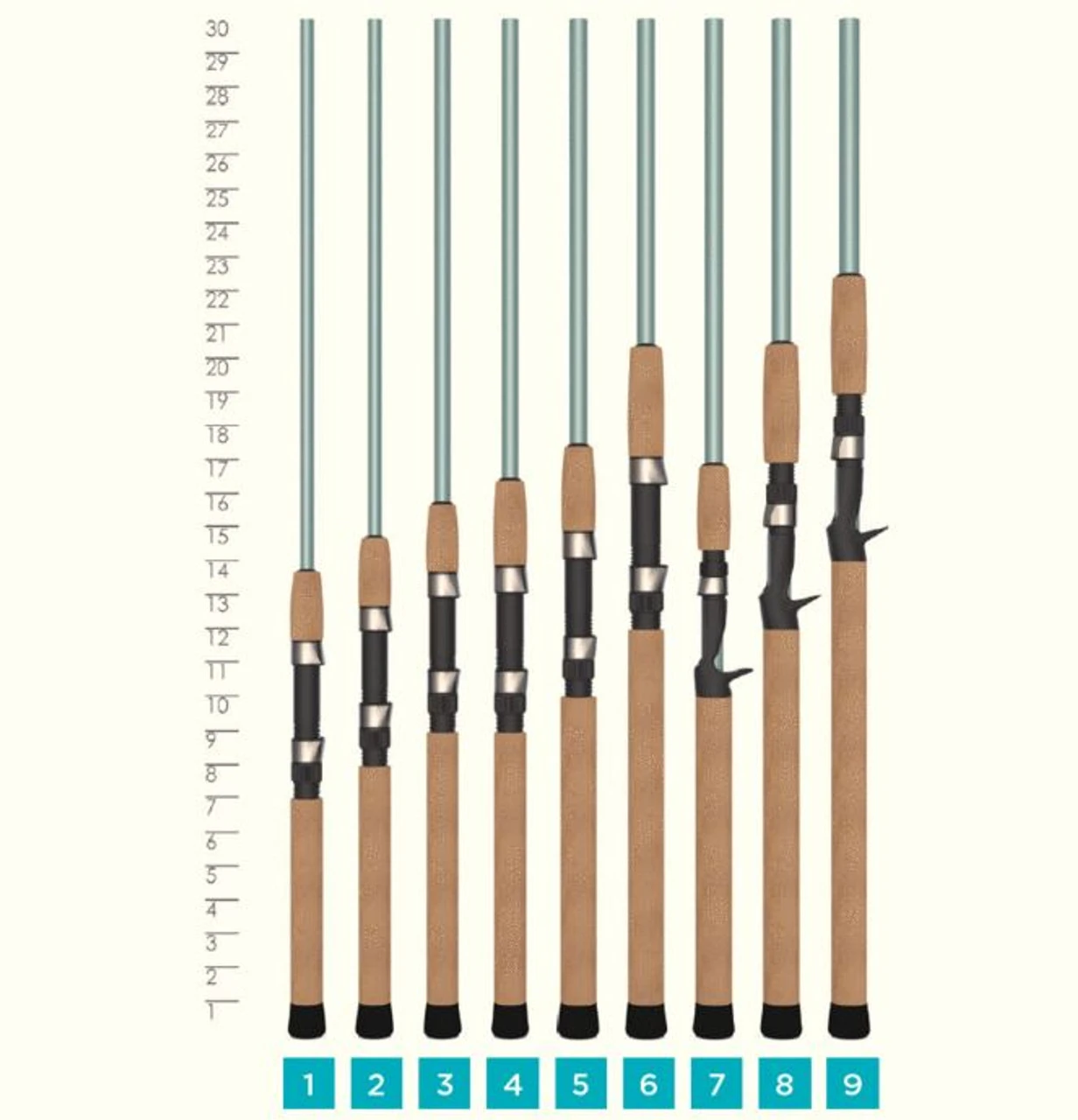 St. Croix Avid Series Inshore Spinning Rod (70MM) - Blue - Image 3