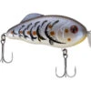 Strike King Hybrid Hunter Crankbait